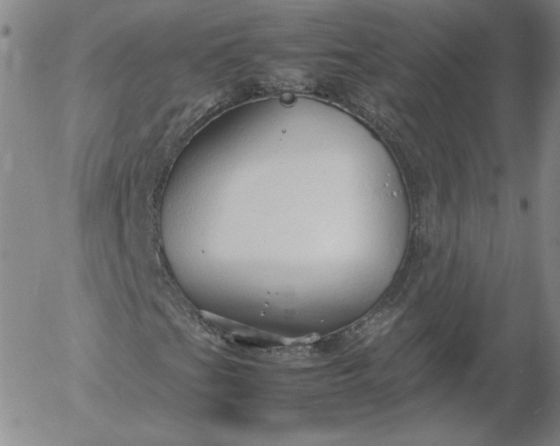 X0000054651201200508091632.png