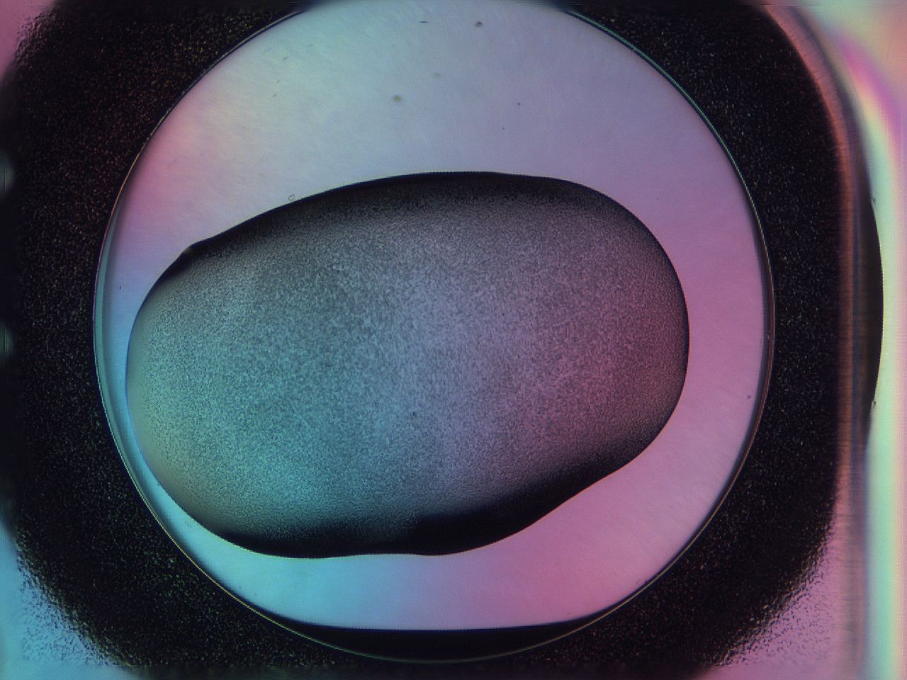 0584_E8_ImagerDefaults_3.jpg
