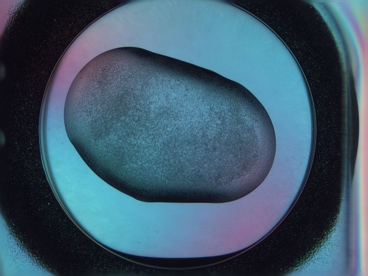 0584_E9_ImagerDefaults_3.jpg