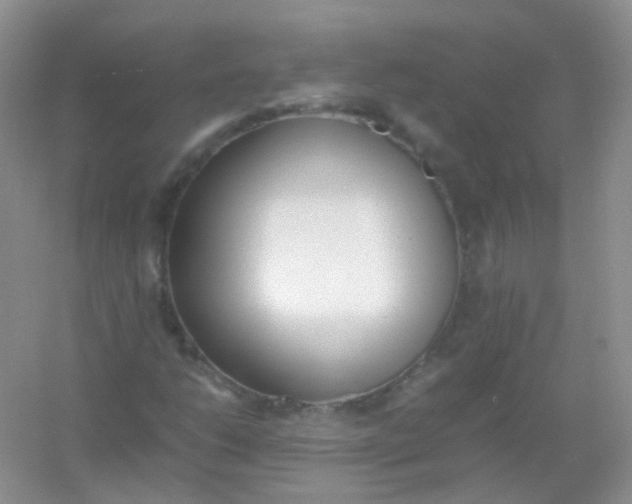 X0000054331206200508111910.png