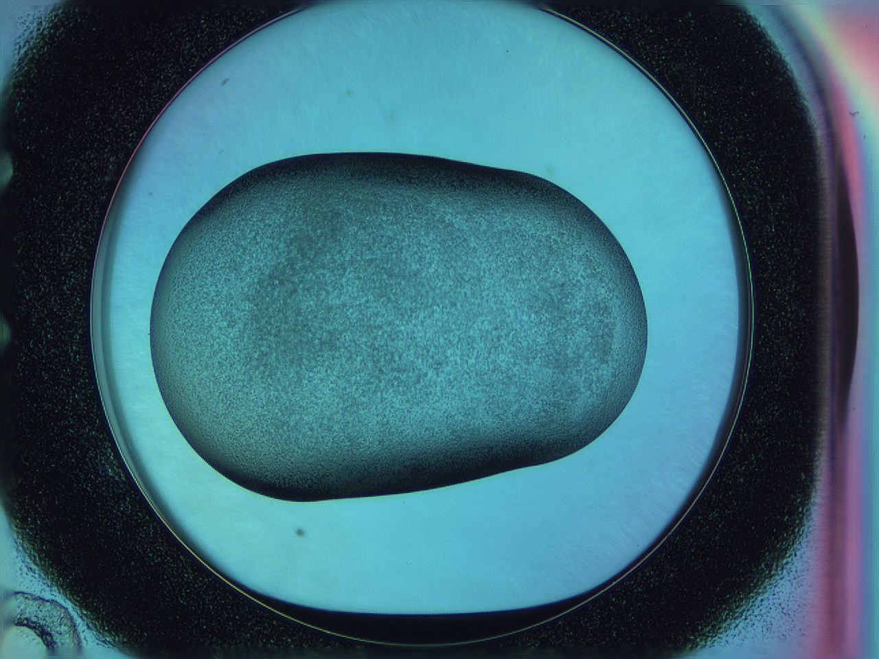 0584_E10_ImagerDefaults_3.jpg