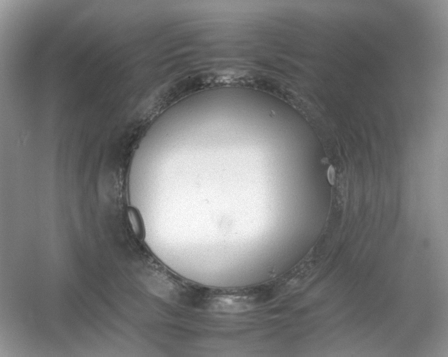 X0000054330657200508111920.png
