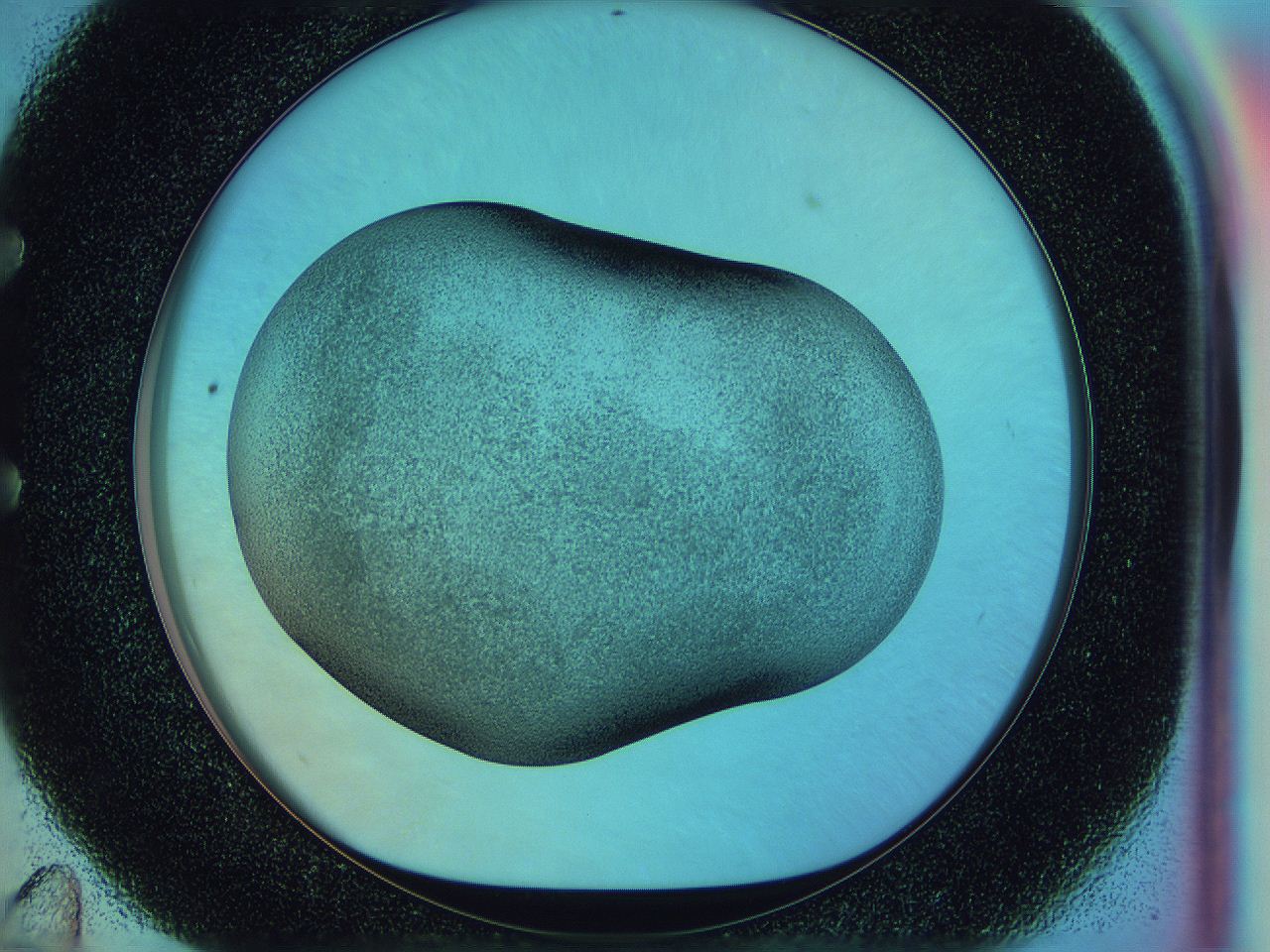 0584_E11_ImagerDefaults_3.jpg