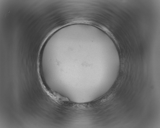 X0000055250955200509071612.png
