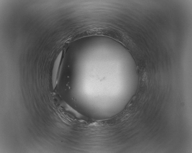 X0000055210868200508301319.png