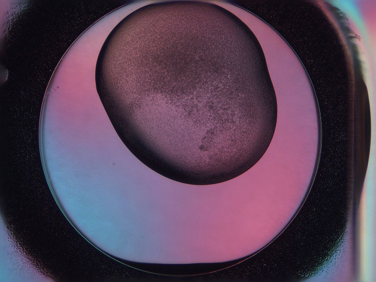 0584_F1_ImagerDefaults_3.jpg
