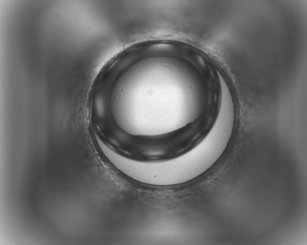 X0000040731328200410201641.png