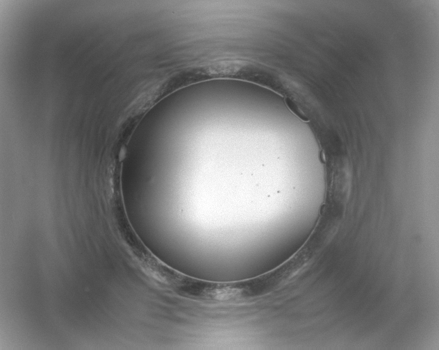 X0000054330501200508111923.png