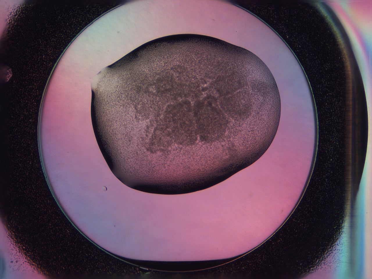 0584_F2_ImagerDefaults_3.jpg