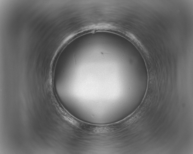 X0000055061232200508161637.png