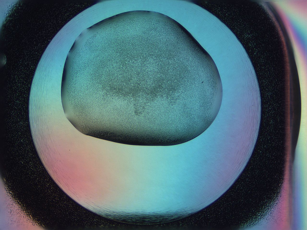 0584_F5_ImagerDefaults_3.jpg
