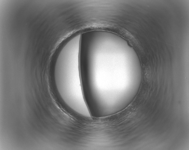 X0000054300732200508042309.png