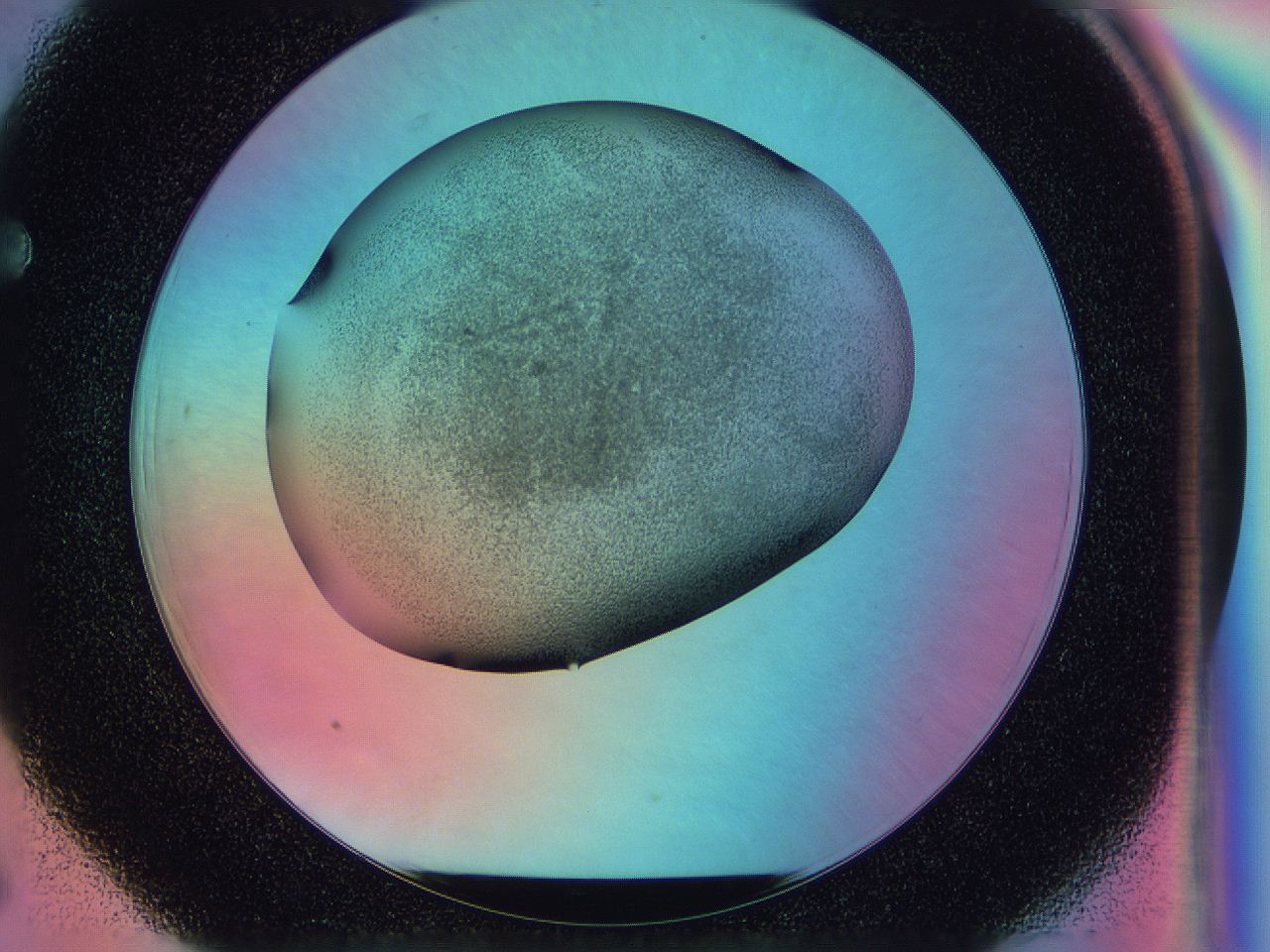 0584_F6_ImagerDefaults_3.jpg