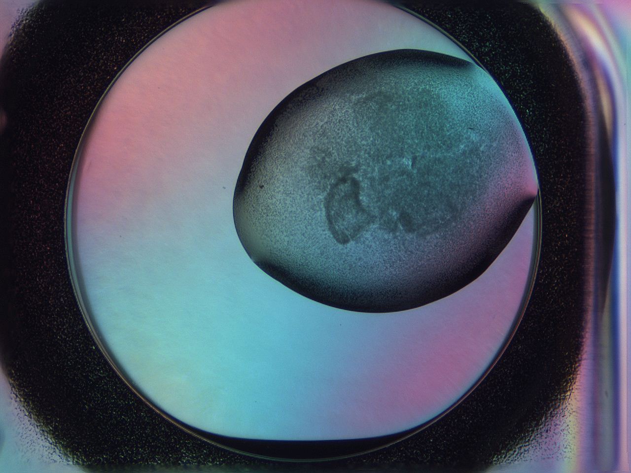 0584_F7_ImagerDefaults_3.jpg