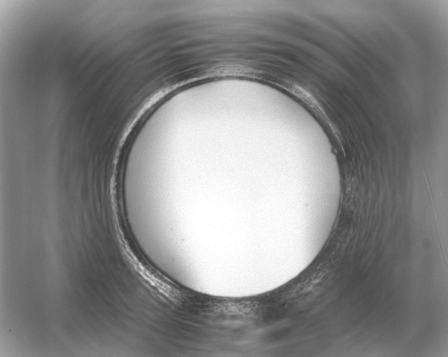 X0000054350947200508190124.png