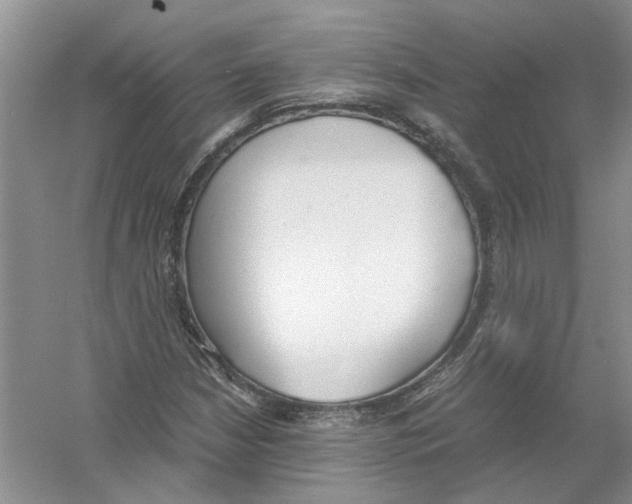 X0000054271210200508261907.png