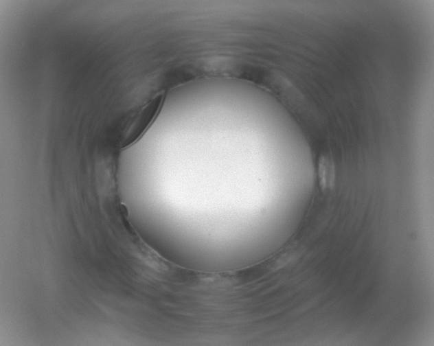 X0000054331107200508111911.png