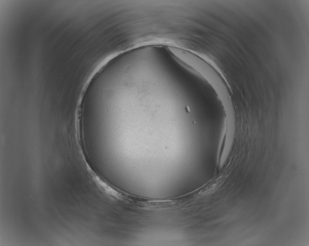 X0000055251151200509071609.png