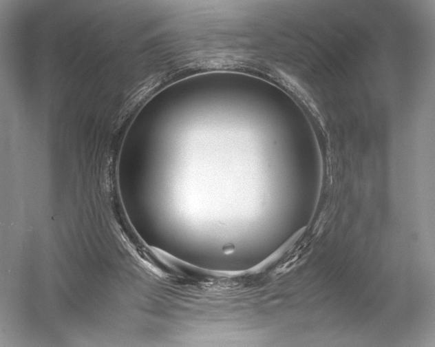 X0000055060105200508161656.png