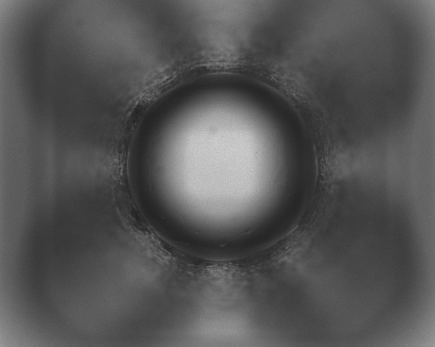 X0000040560755200411021428.png