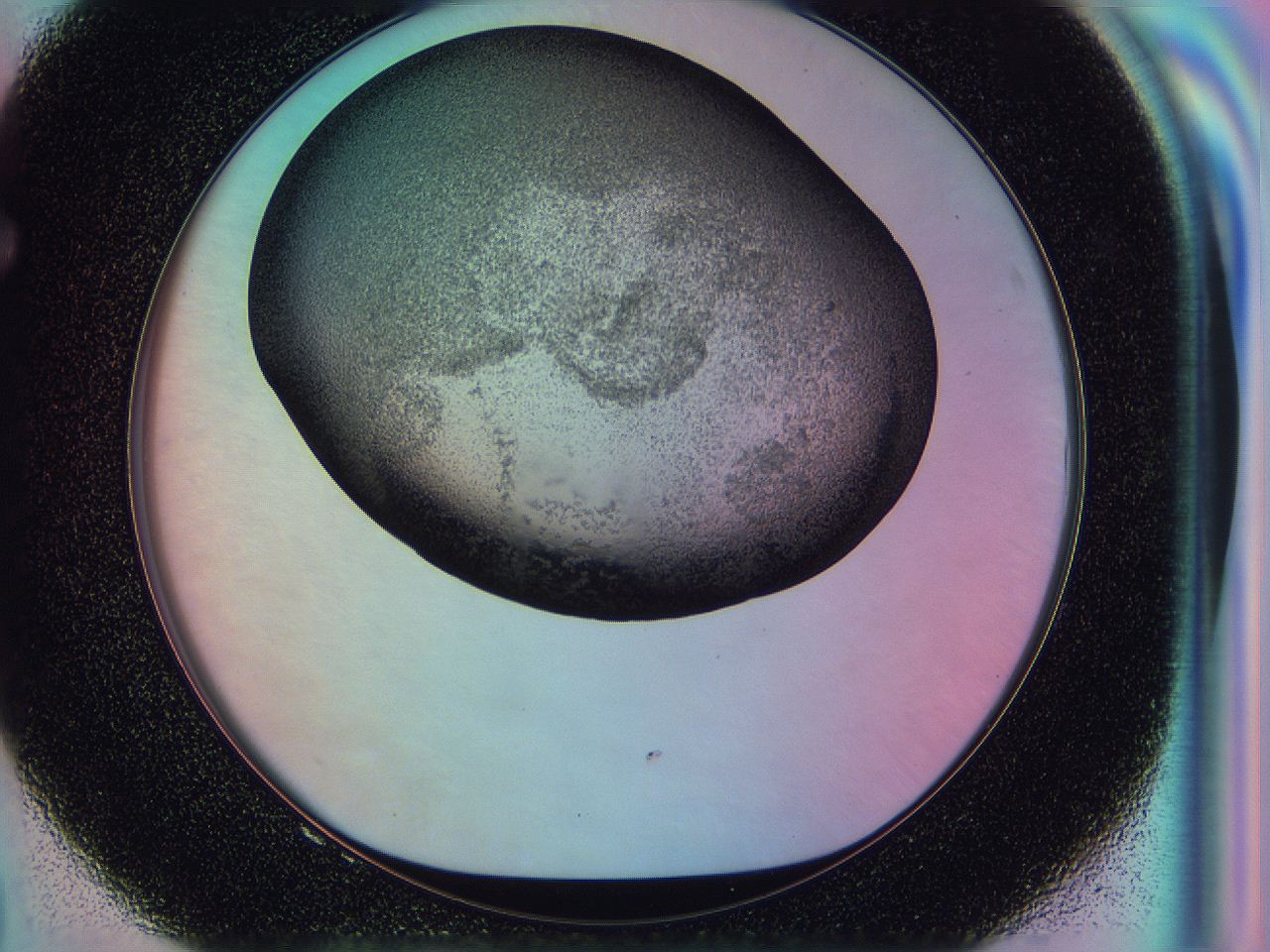 0584_F8_ImagerDefaults_3.jpg
