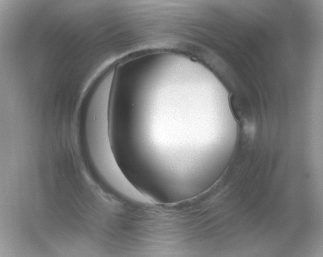 X0000054330676200508111920.png