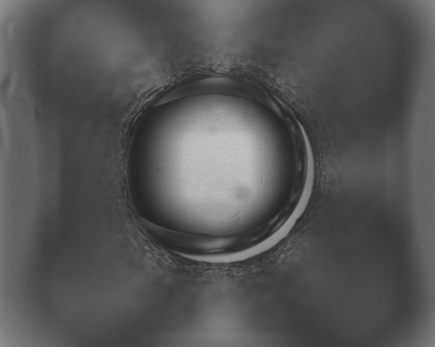 X0000040561105200411021421.png