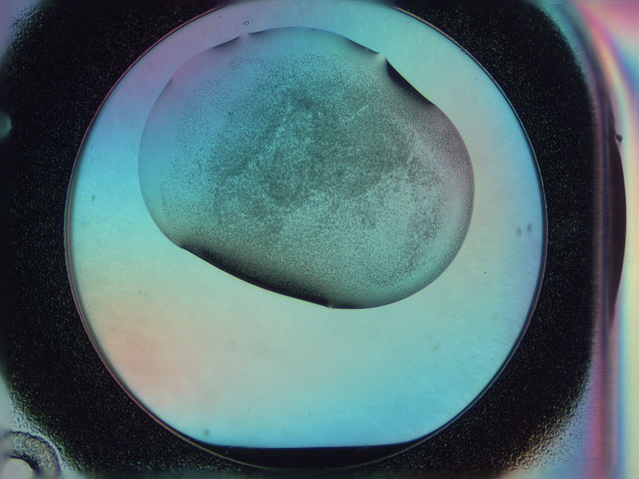 0584_F10_ImagerDefaults_3.jpg