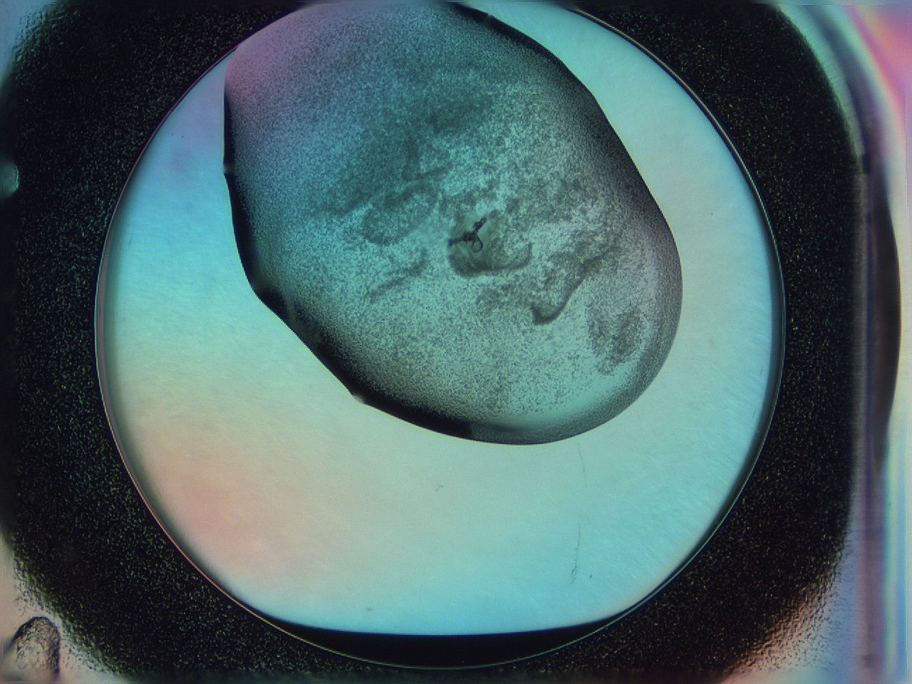 0584_F11_ImagerDefaults_3.jpg
