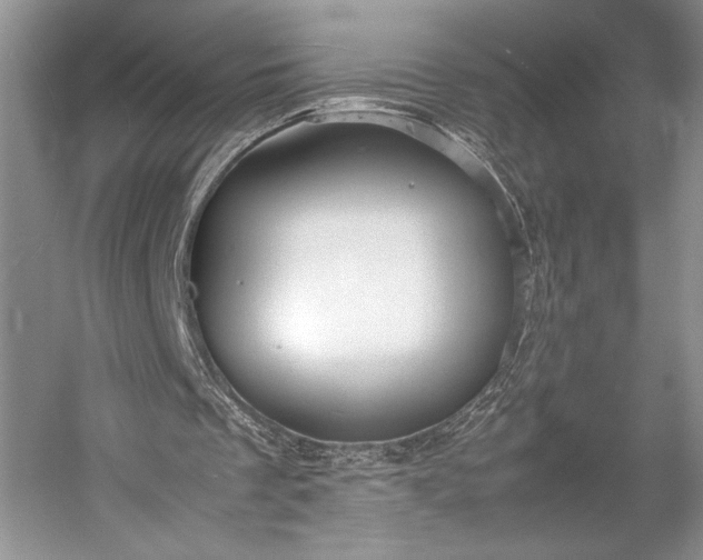 X0000055060289200508161653.png