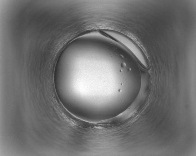 X0000055060481200508161650.png