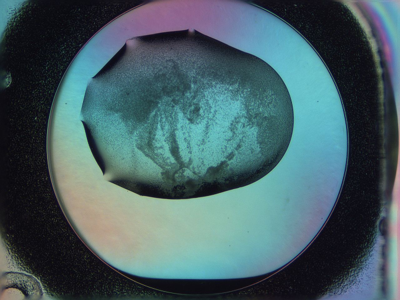 0584_F12_ImagerDefaults_3.jpg
