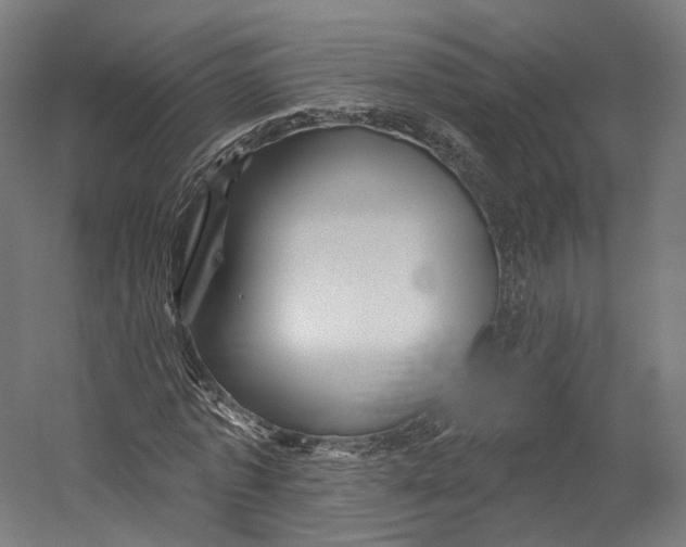 X0000055210773200508301321.png