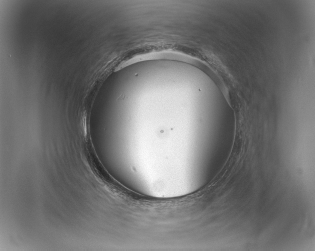 X0000055060021200508161657.png