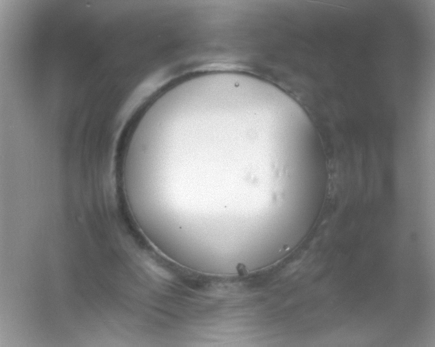 X0000054330296200508111926.png