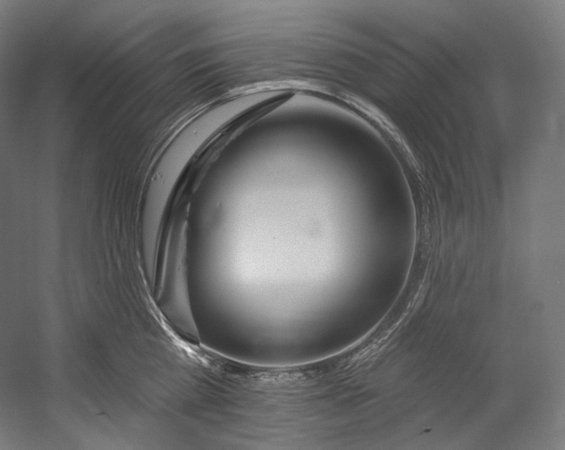 X0000055210809200508301320.png