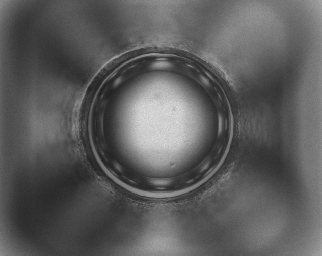 X0000041780924200411271517.png