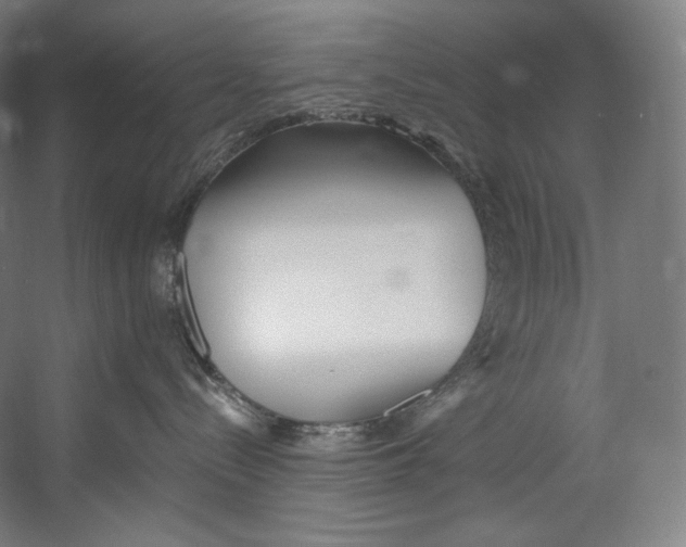 X0000055210288200508301330.png