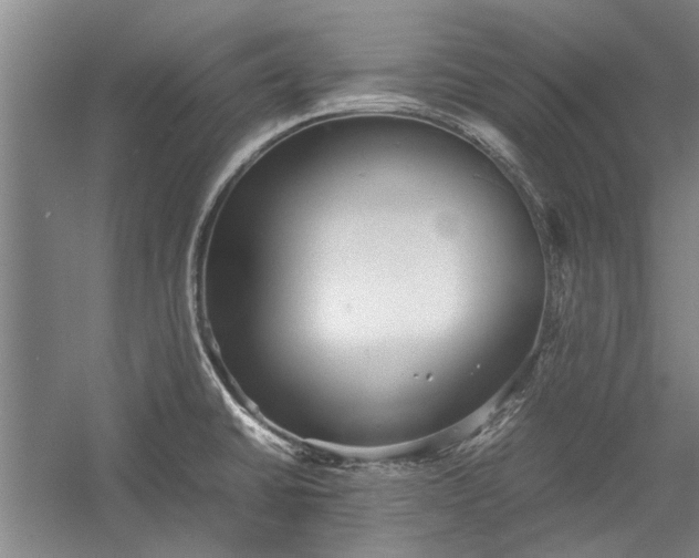 X0000055061430200508161634.png