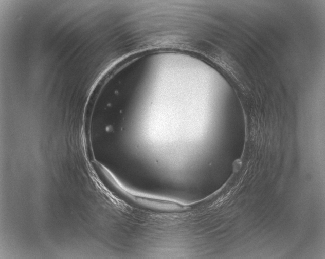 X0000055060888200508161643.png