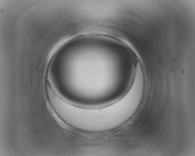 X0000054651485200508091629.png