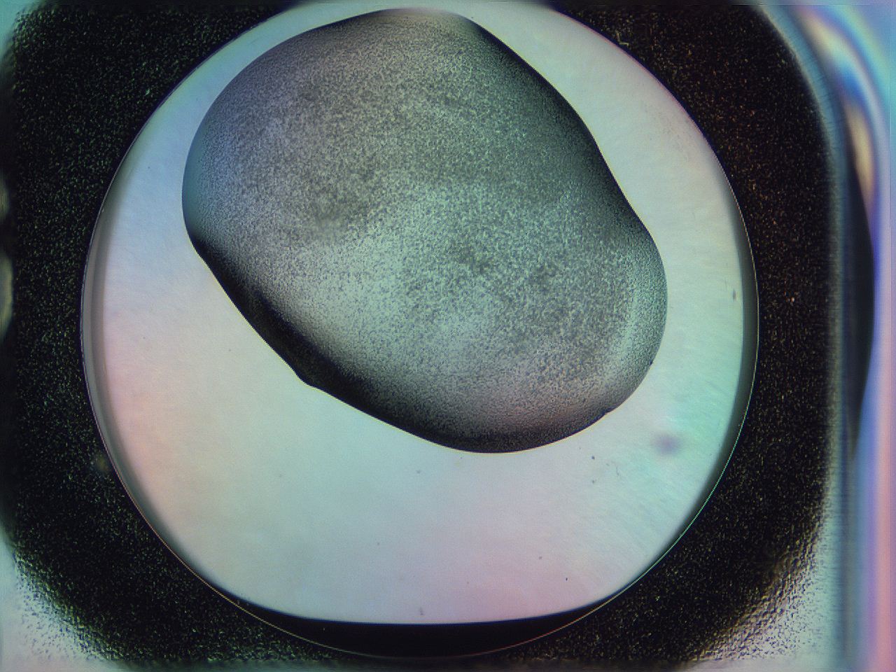 0584_G8_ImagerDefaults_3.jpg