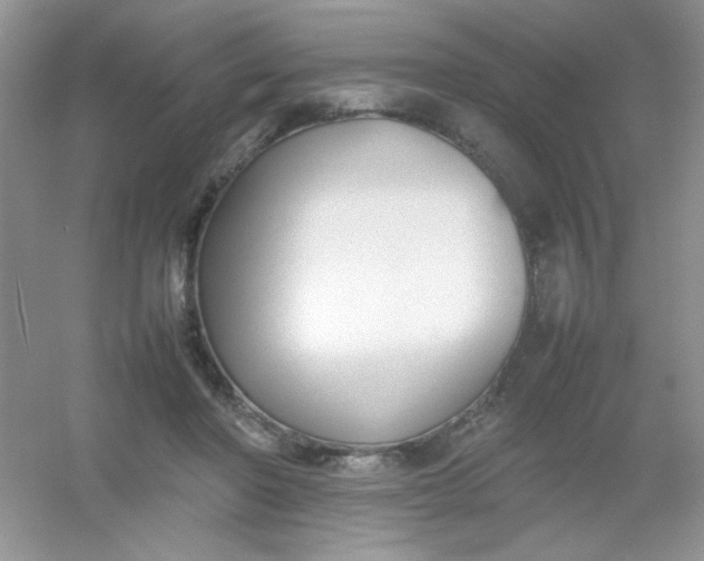 X0000054330406200508111924.png