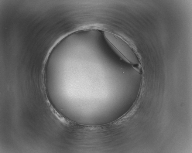 X0000055210816200508301320.png