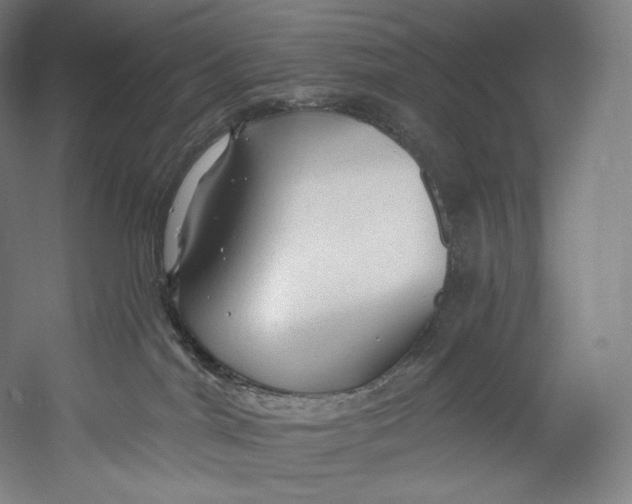 X0000055210044200508301333.png
