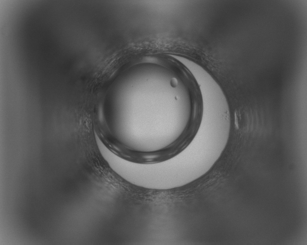 X0000051541155200506281731.png