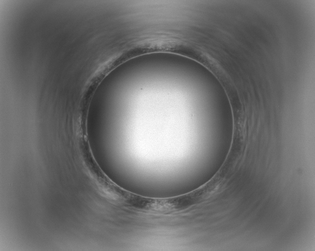 X0000054330403200508111924.png