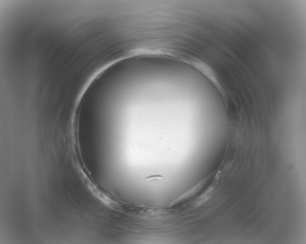X0000054331148200508111912.png