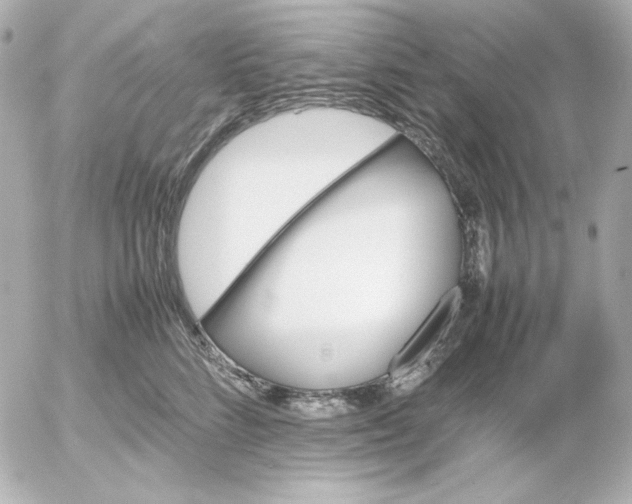 X0000054230712200508171512.png