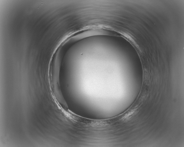 X0000055061046200508161640.png